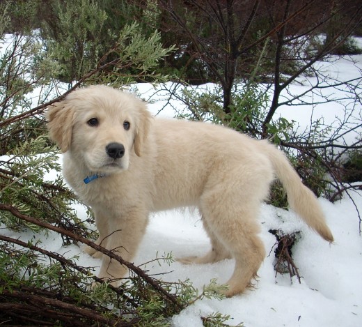 Simón en el Parque Nacional de Ushuaia